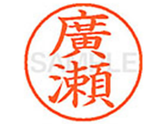 Name 9 ready-made XL-9 4073 Hirose Shachihata 4974052588631 (10 sets)
