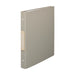 Licht_Roomy Clear Book <Pocket Substituível> N-290-27/4903419341947