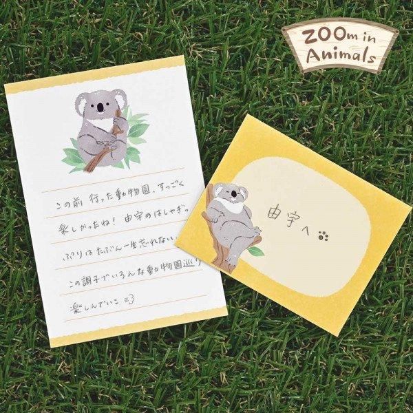 NB/5422402_ข่าวเล็ก Zoom In Animal Koala/4905260793548 (5 ชุด)