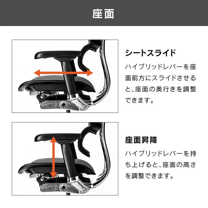 エルゴヒューマン エンジョイ２ ロータイプ