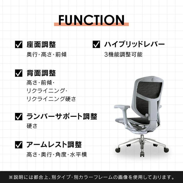 エルゴヒューマン エンジョイ２ ロータイプ