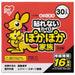 Iris Ohyama Warm Kazoku Regular 30 pieces x 8 boxes 2147345304108