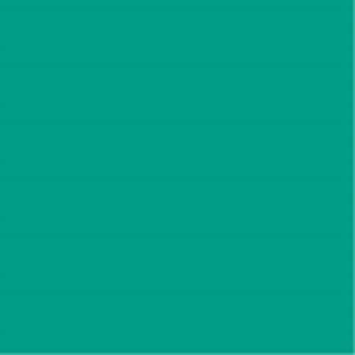Carta da disegno colorata Lintec R A4 50 fogli Emerald 4905930543220