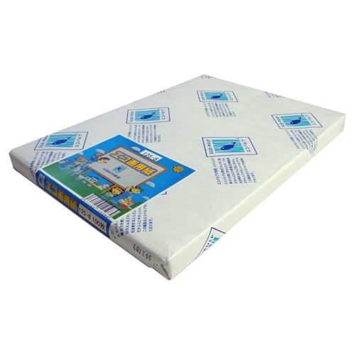 北越コーポレーション エコ画用紙 8ツ切 厚口 100枚 125-8 4535449125084