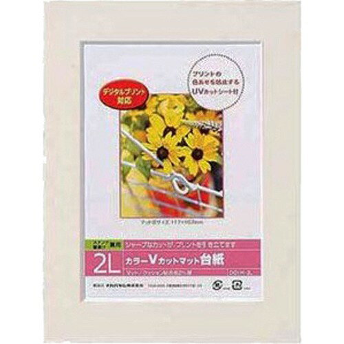 Nakabayashi Nakabayashi Color V-cut matte dobbelstenen/2L/Wit DGVM-2L-W/V