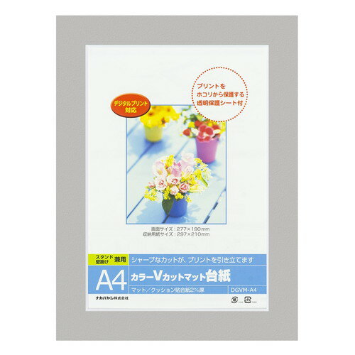 Nakabayashi Color V coupé mat dés/A4/Gris/V DGVM-A4-N/V