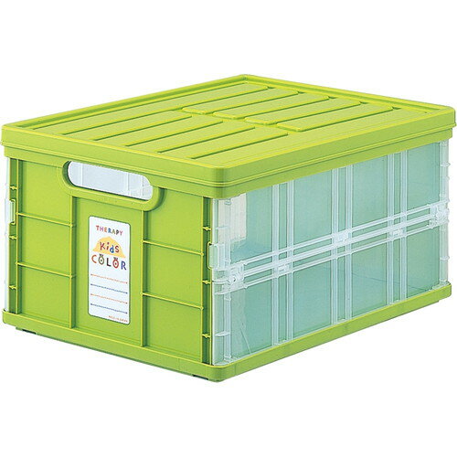 Nakabayashi Nakabayashi Kits de terapia Color Oritatami Tapa de contenedor/Verde CFC-TC-501KG