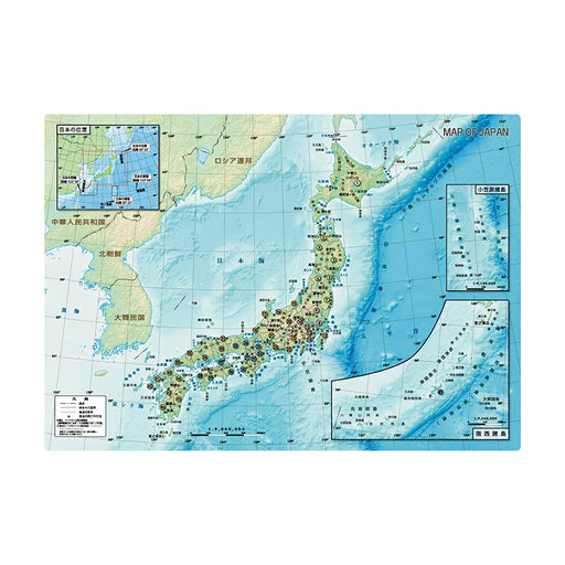 Tokyo Cart Underlay (Jepun) A4 Tokyo Cart Grafik 4562339392370
