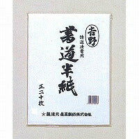 Ryugu Hanshi Yoshino HA-YO-20P