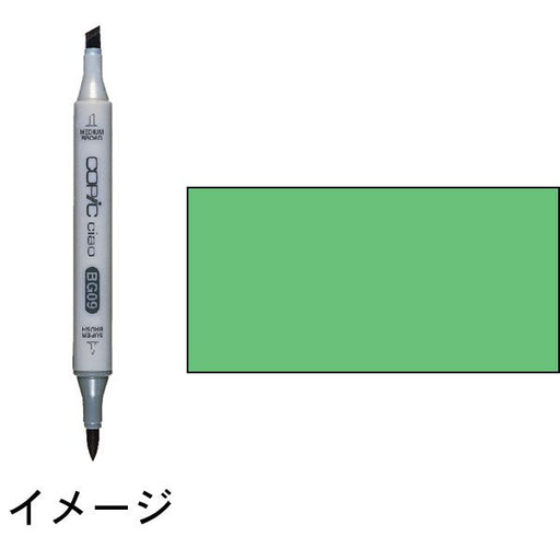 Color Pen Copic Ciao G05 Too 4511338007914 (3 sets)