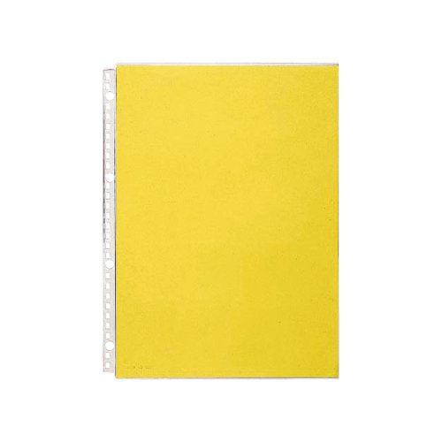 Lihitlove Clear Pocket N-1489-10P A4S