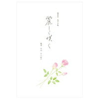 [Prezzo unitario 514 yen, 5 set] Cancelleria Hanayuibara 4110204 NB 4905260714871 (5 set)