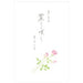 [Prix unitaire 514 yens, 5 ensembles] Papeterie Hanayuibara 4110204 NB 4905260714871 (5 ensembles)