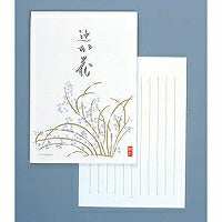 Apica Papelería Sen31 Tsujigahana Rayado Vertical