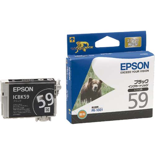 Seiko Epson Tintenpatrone Schwarz (für PX-1001) ICBK59