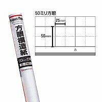 Okina projet grandeur nature PZ-50S PZ5WH Shiro
