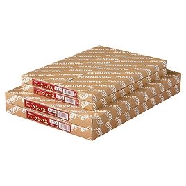 B-504　ゴークラ ニューケンパス 厚口 B4 B504 ゴークラ 4905930100065（100セット）