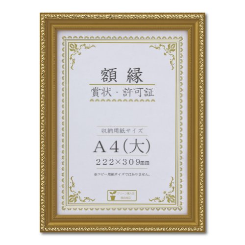 Daisen Picture Frame Award Frame Kinsei-R A4 (grande) J045C2500 Resina PET in scatola