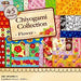 Toyo Chiyogami Collection Flower 15cm square 180 pieces 018059