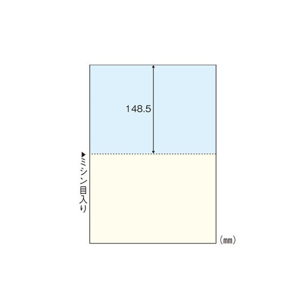 HISAGO Multidrucker Formular A4 Farbe 2 Seiten BP2010 Hisago 4902668553330