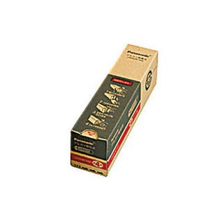 Alkalinebatterij LR JN/100S 26120 Panasonic 4984824734258