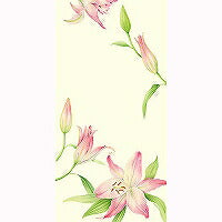 Noshifuuto Tamokuteki Lily NSF-049 Frontier 4937630220491 (sæt med 6)