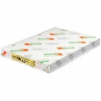 Hokuetsu Kishu Paper “NEW Fine Color” Crema formato A3/NEW Fine Color A3500 Hokuetsu Corporation 4535449313115