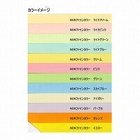 Hokuetsu Kishu Paper NEW Fine Color 64g A3 Avorio Hokuetsu Corporation 4535449320113