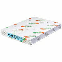 Hokuetsu Kishu Paper NEW Fine Color 64g A3 Sky Blue Hokuetsu Corporation 4535449321110