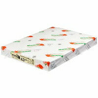Hokuetsu Kishu Paper NEW Fine Color 64g A3 Light Cream Hokuetsu Corporation 4535449323114