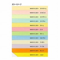 Carta Kishu Fine Color B5 Rosa chiaro Hokuetsu Corporation 4535449322414