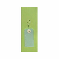 Showmis Ecole Tencolor Tag 1000 Mon JAN: 4937020010510