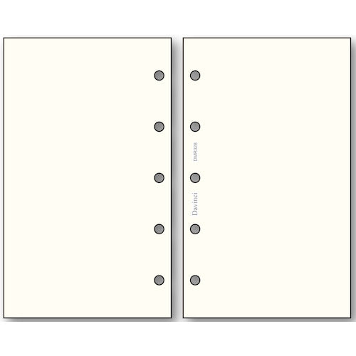 Davin Refill Plain DMR328 Raymay Fujii 4902562485478 (5 set)