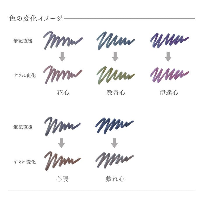 闪光墨水第二版 钢笔用水性染料瓶墨水 20ml Dategokoro DATEGOKORO 13-1530-203 水手钢笔